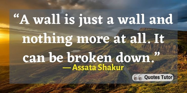 Inspiring Assata Shakur quotes