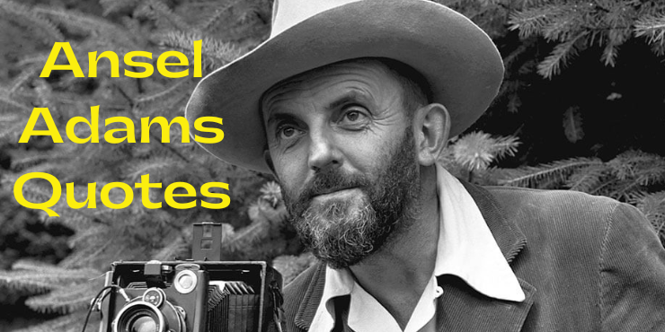 Ansel Adams Quotes