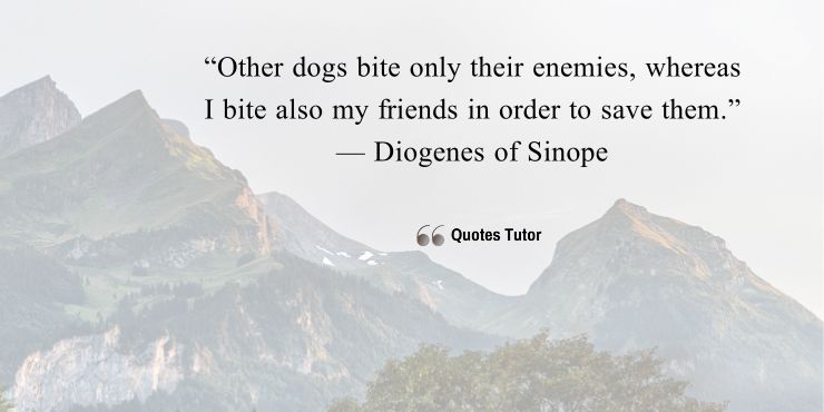 Diogenesof Sinope Quotes About Friends And Relationships