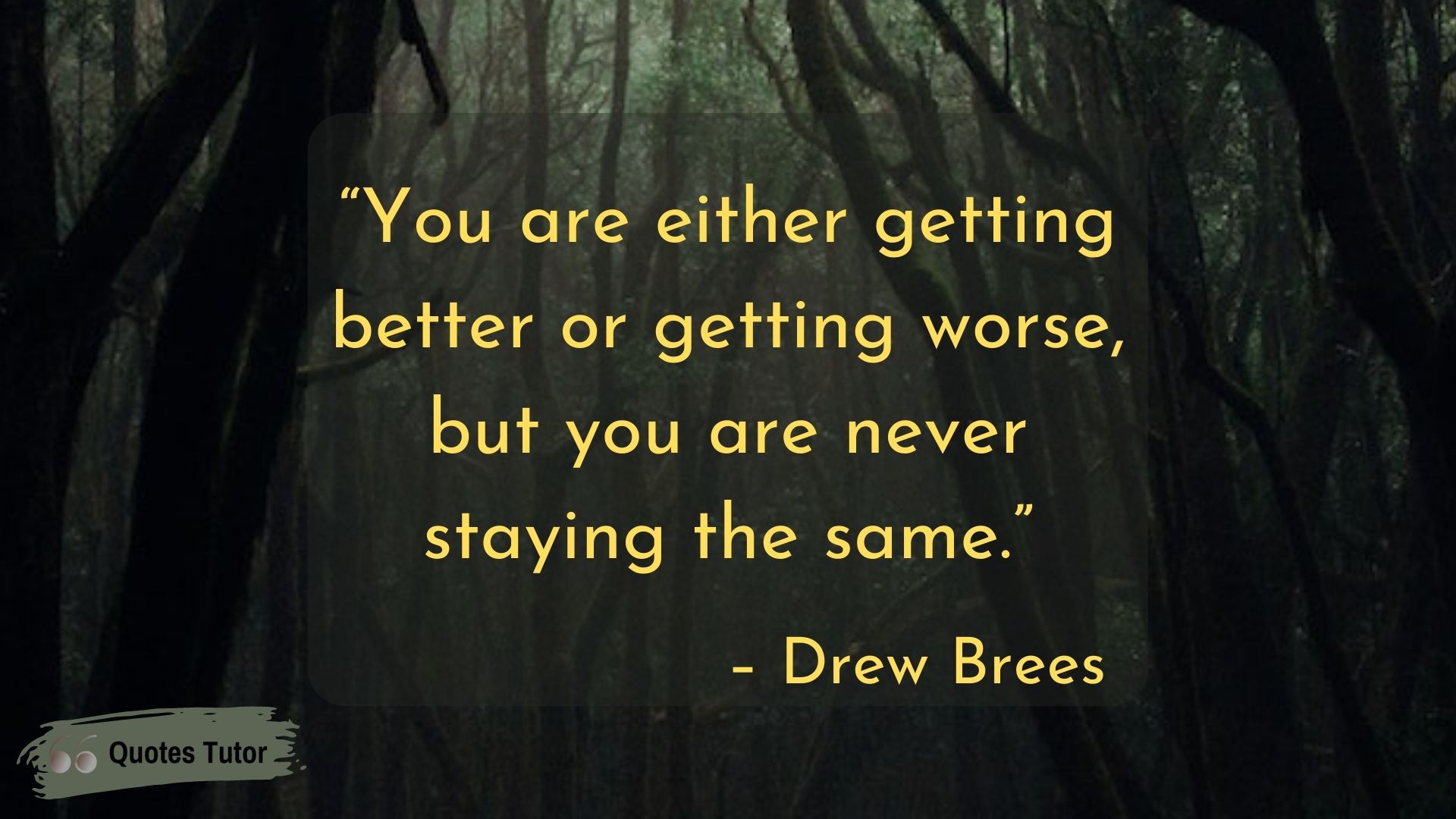 Drew Brees Quotes To Motivate You