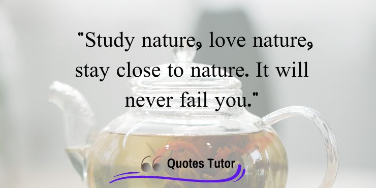 God And Mother Nature Quotes By Frank Lloyd Wright