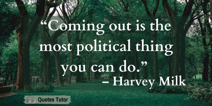 Harvey Milk Quotes On Politics