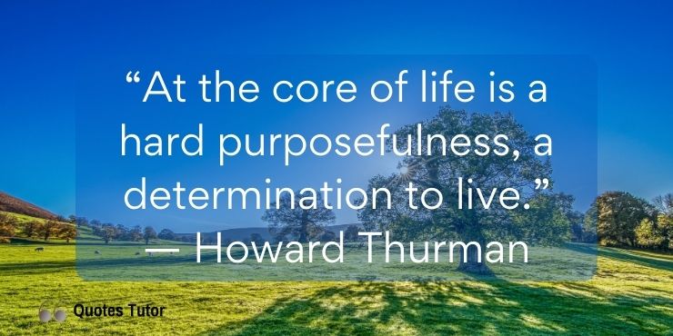 Howard Thurman Quotes About Life