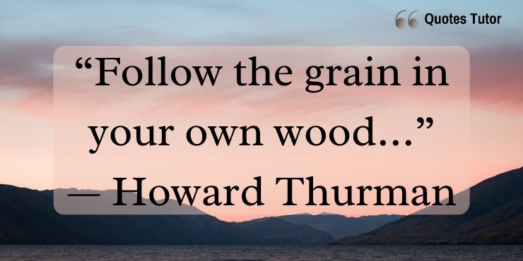 Howard Thurman Quotes On The Importance Of Fate, Silence, And Dreams