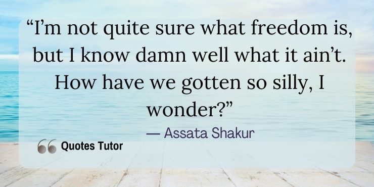 Assata Shakur quotes about slavery, race, and freedom