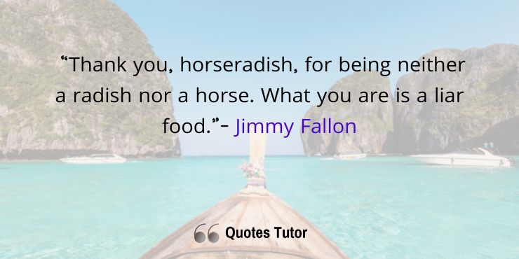 Jimmy Fallon Quotes To Make You Smile