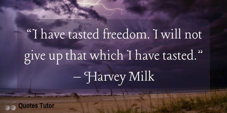 Harvey Milk Quotes On Human Rights