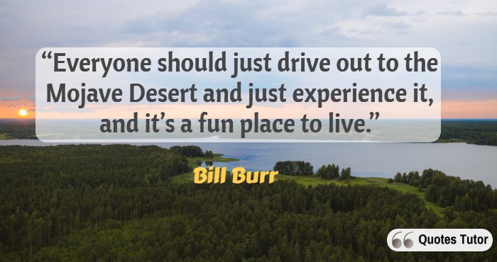 Bill Burr Quotes About Life