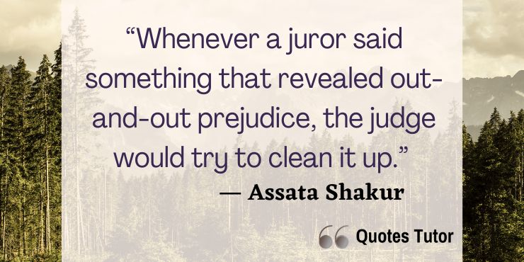 Assata Shakur quotes about her court case and punishment