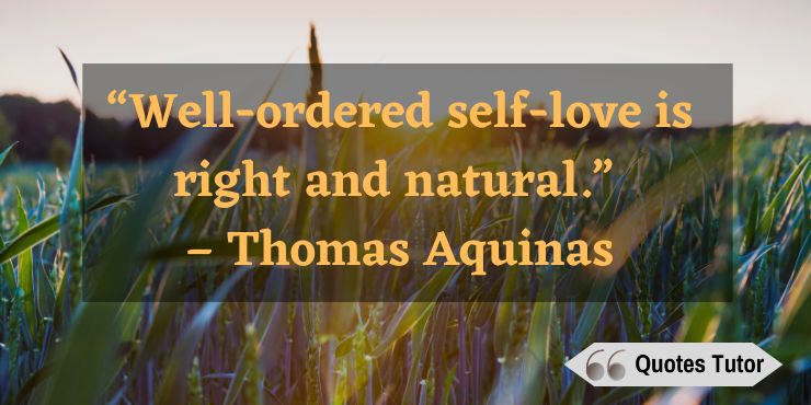 Funny Thomas Aquinas quotes