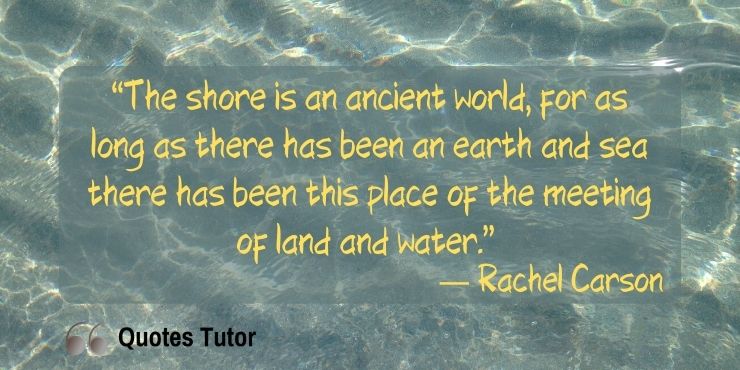 Rachel Carson Quotes About The Environment, The Sea And Water