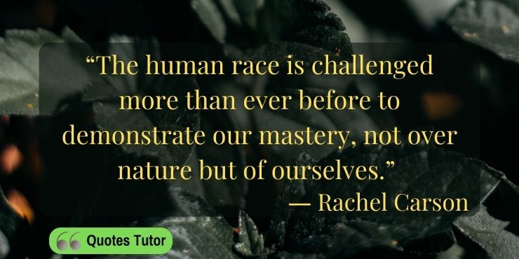 Rachel Carson Quotes On Nature And Earth