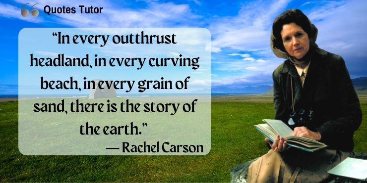 Rachel Carson Quotes